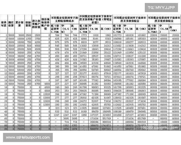 意甲球票价格调控倡议，主场收入保障计划